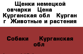 Щенки немецкой овчарки › Цена ­ 7 000 - Курганская обл., Курган г. Животные и растения » Собаки   . Курганская обл.